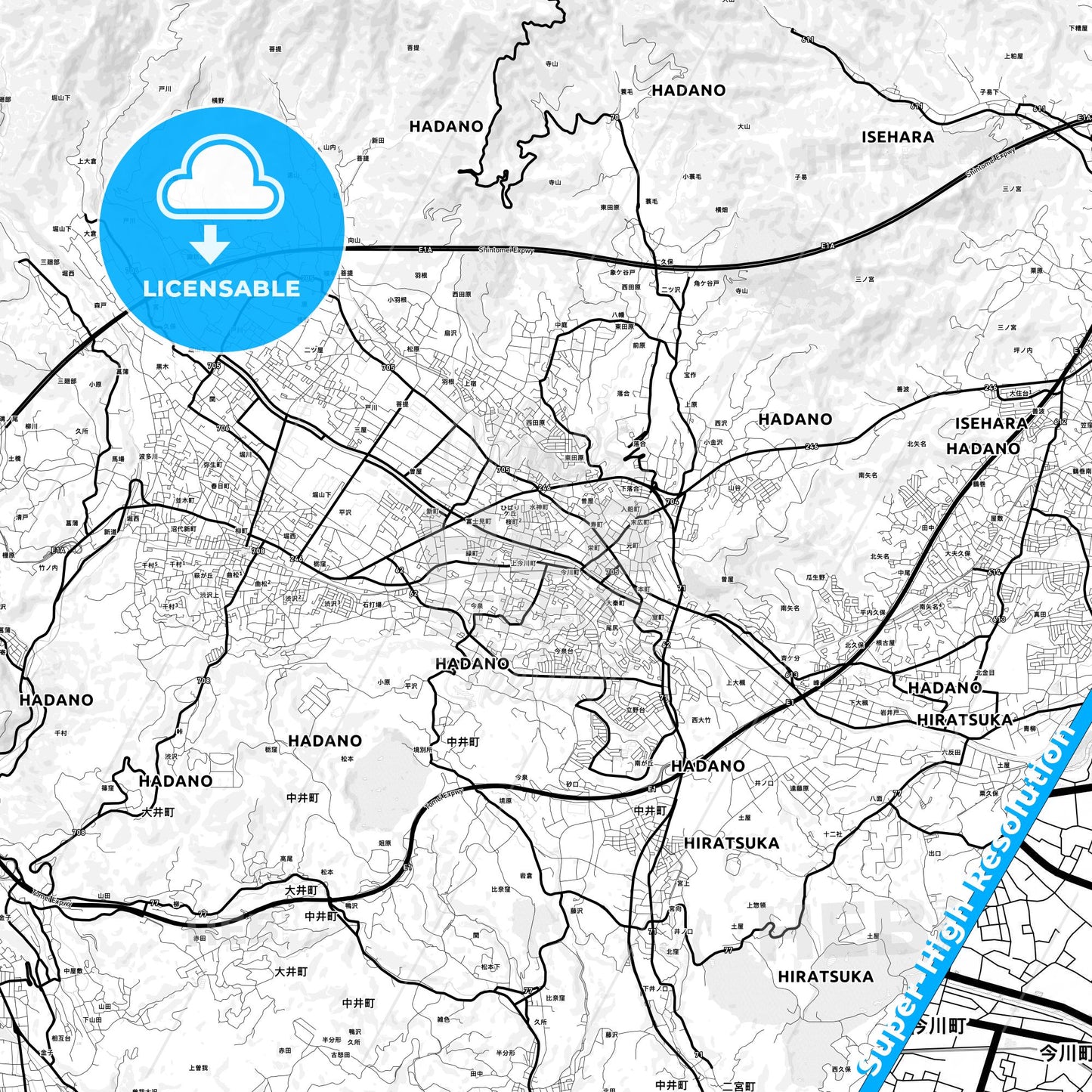Hadano, Japan Light Map with Street Names, City Names, and Districts