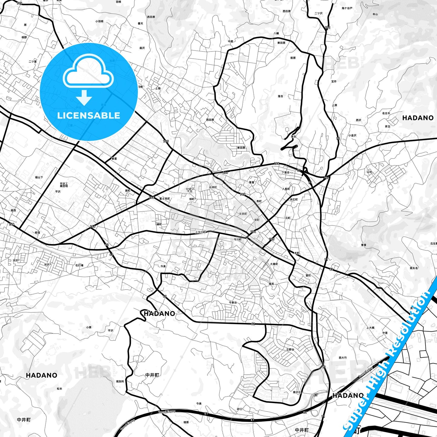Hadano, Japan Light Map with Street Names, City Names, and Districts
