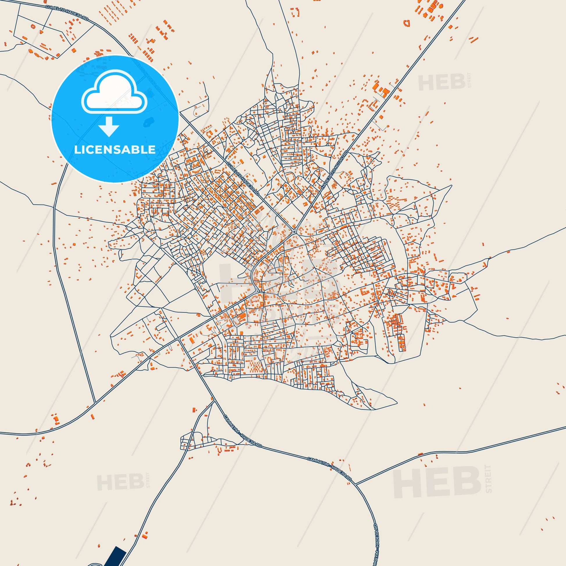 Colorful Hadejia Street Map with Labels and Buildings
