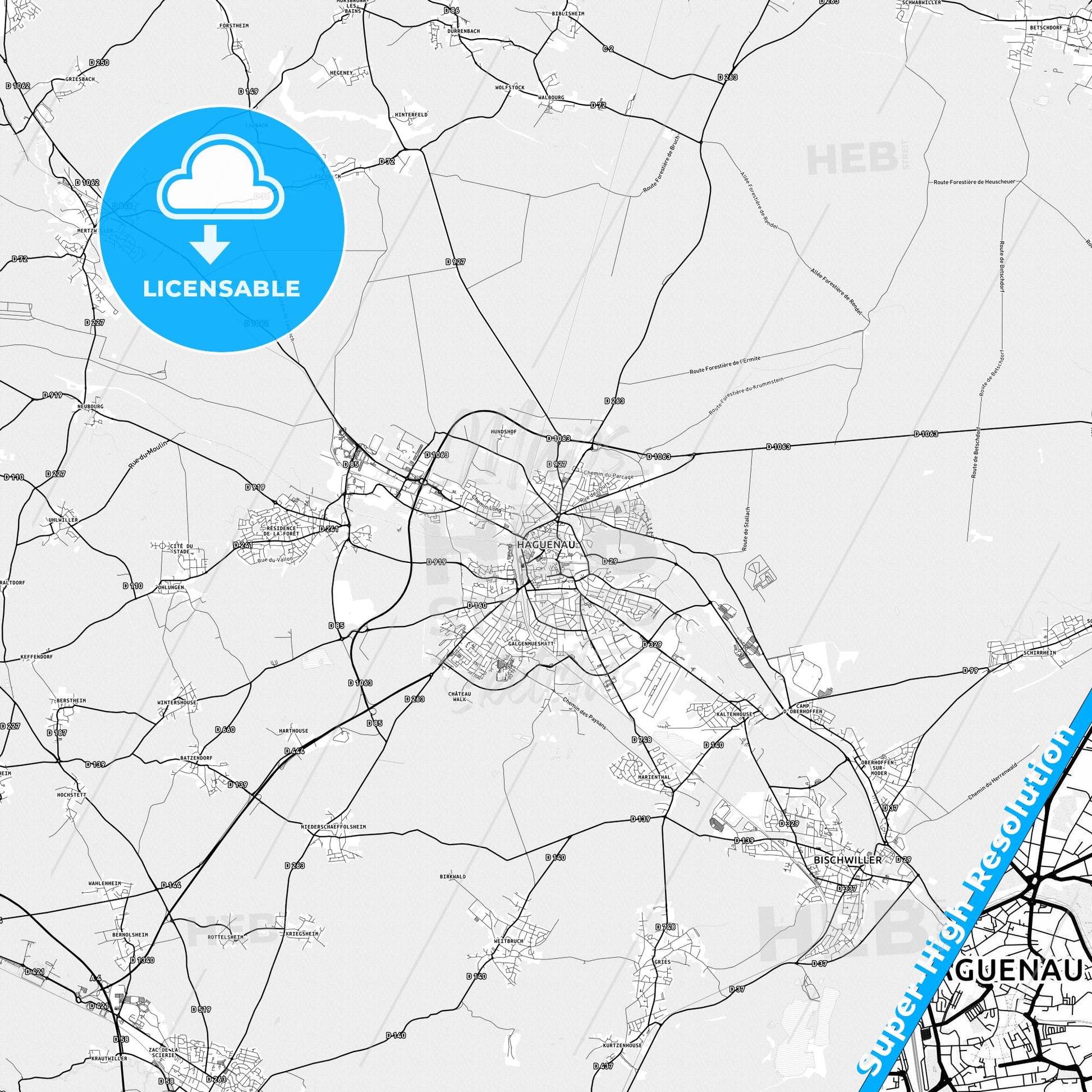 Haguenau, France light map with streetnames, citynames and districts