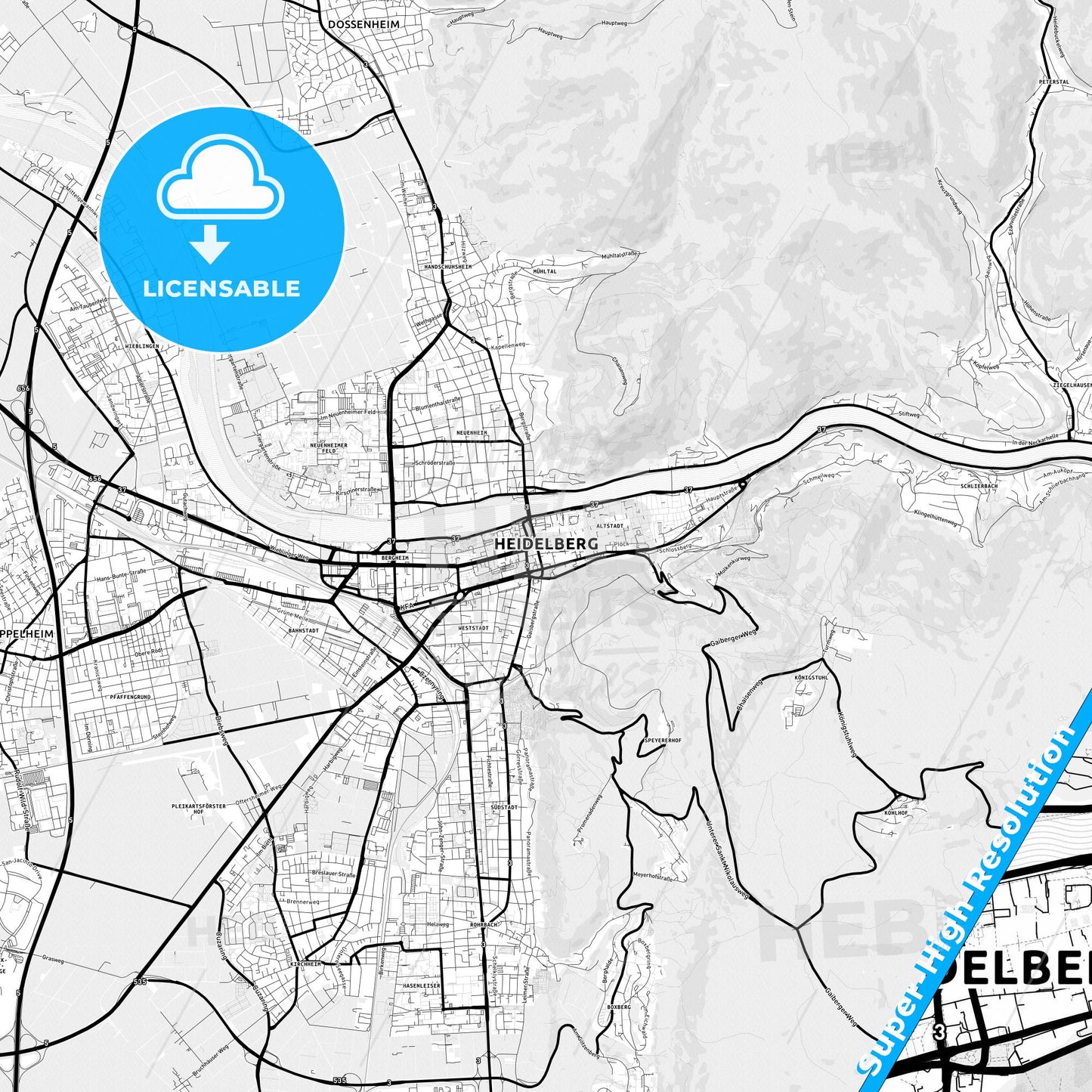 Heidelberg, Germany Light Map with Street Names, City Names, and Districts