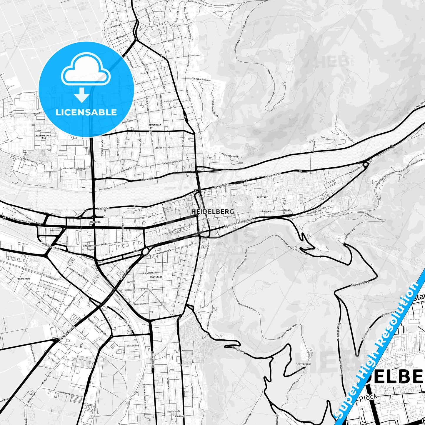 Heidelberg, Germany Light Map with Street Names, City Names, and Districts