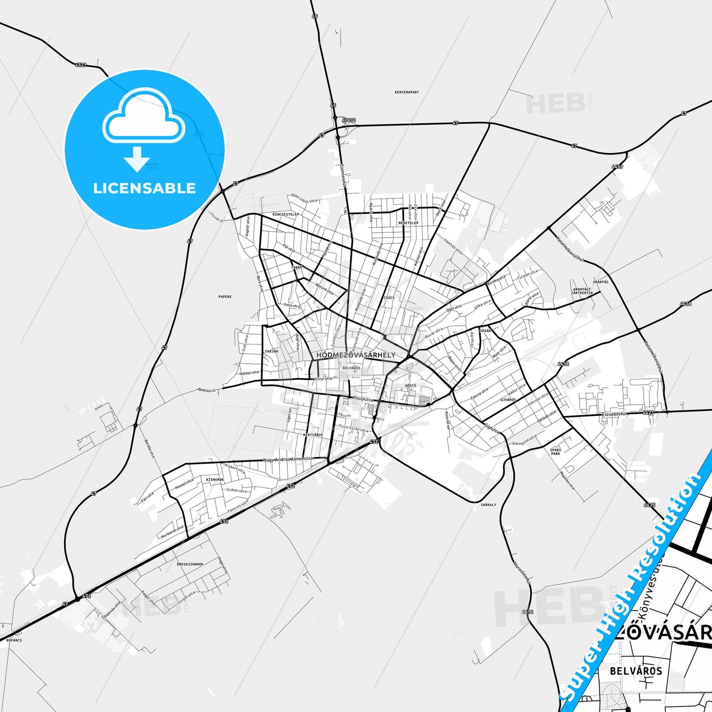 Hódmezővásárhely, Hungary Light Map with Street Names, City Names, and Districts