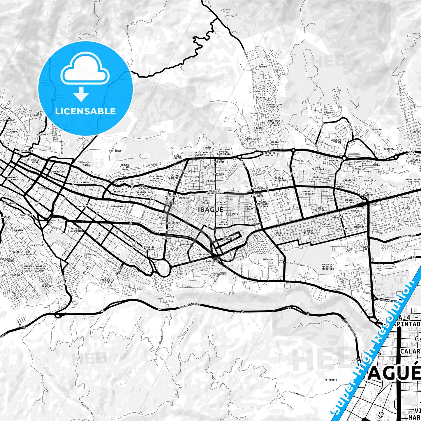 Ibague, Colombia Light Map with Street Names, City Names, and Districts