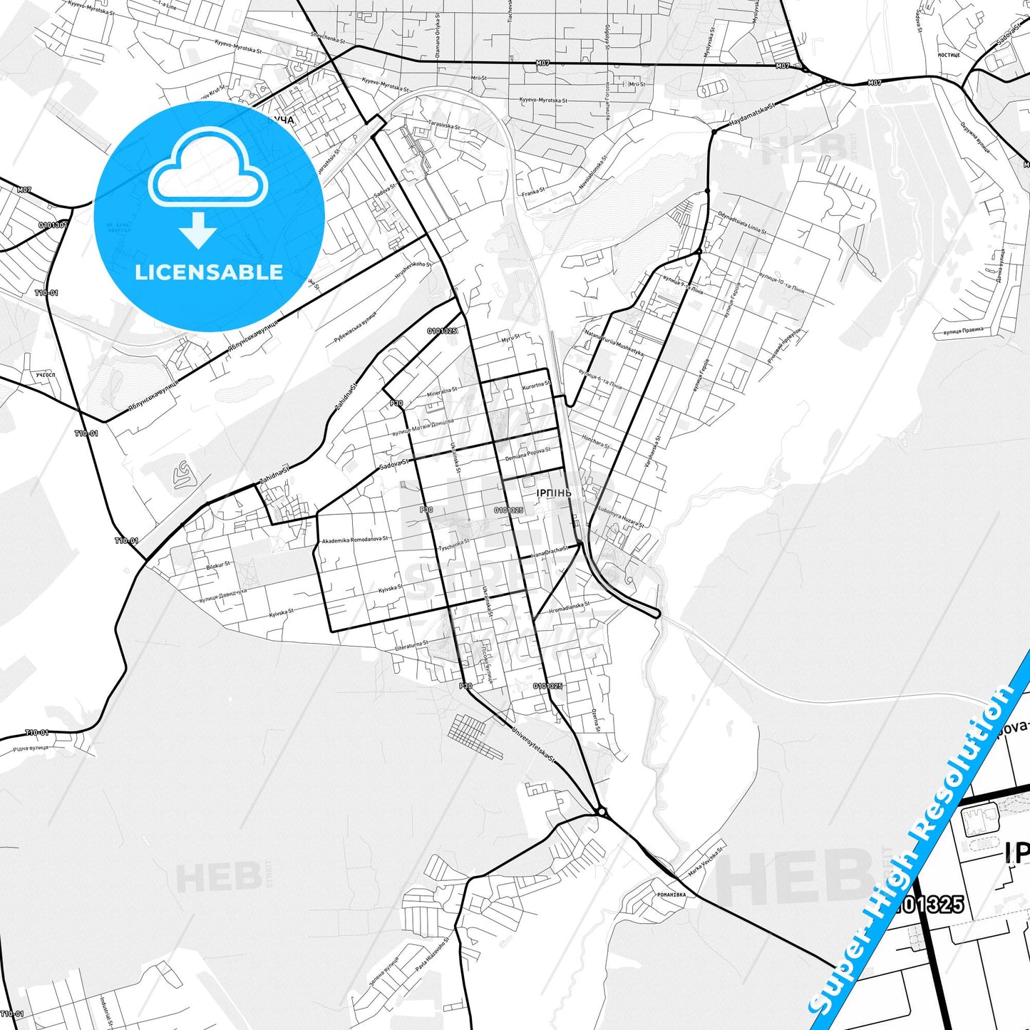 Irpin, Ukraine Light Map with Street Names, City Names, and Districts