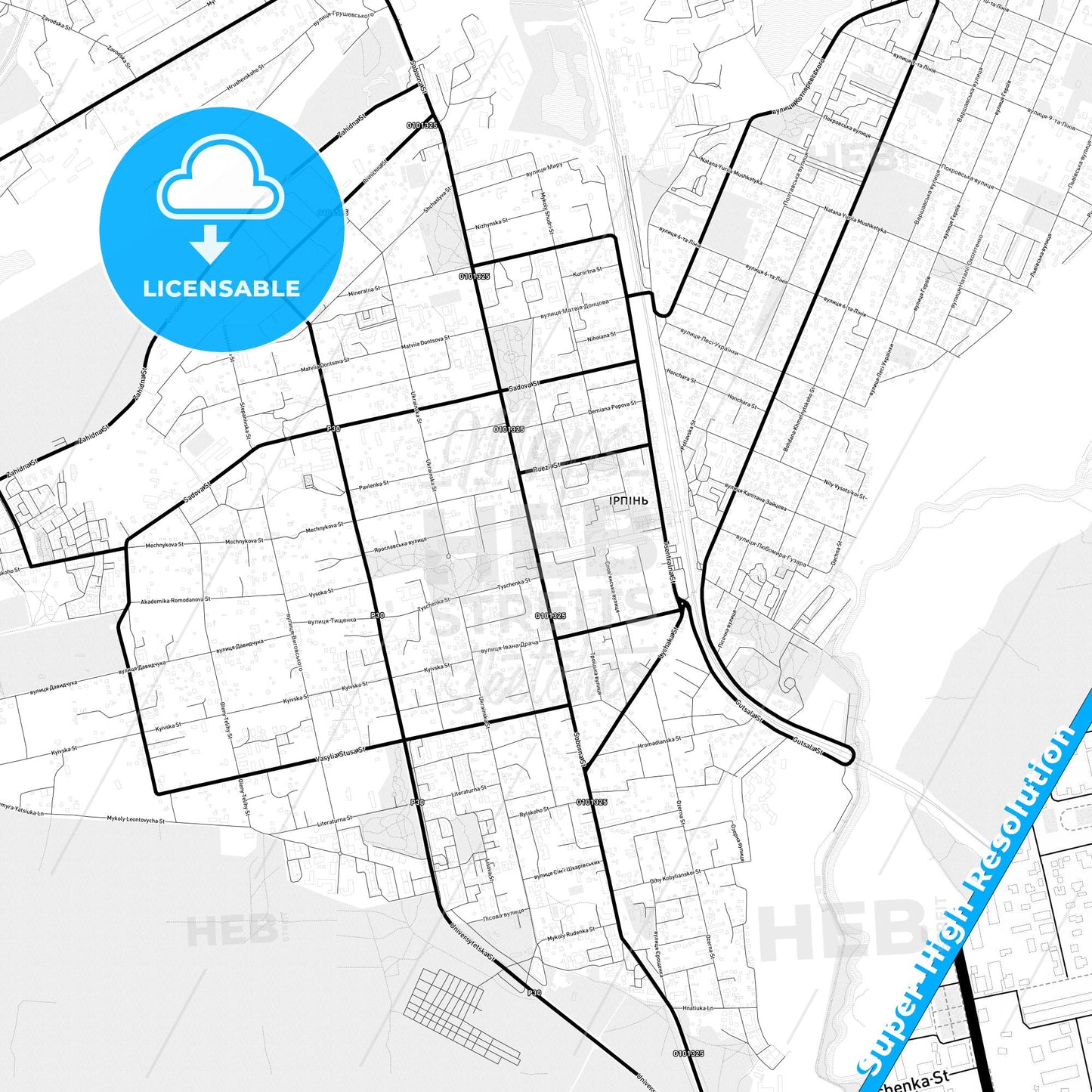 Irpin, Ukraine Light Map with Street Names, City Names, and Districts