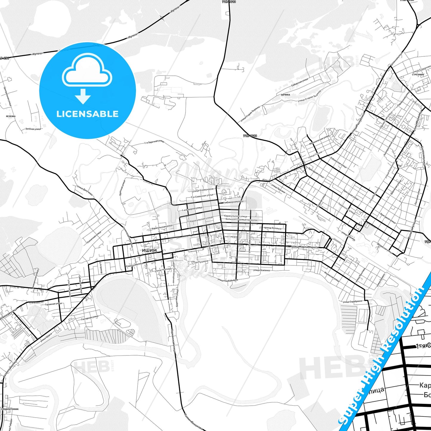 Ishim, Russia Light Map with Street Names, City Names, and Districts