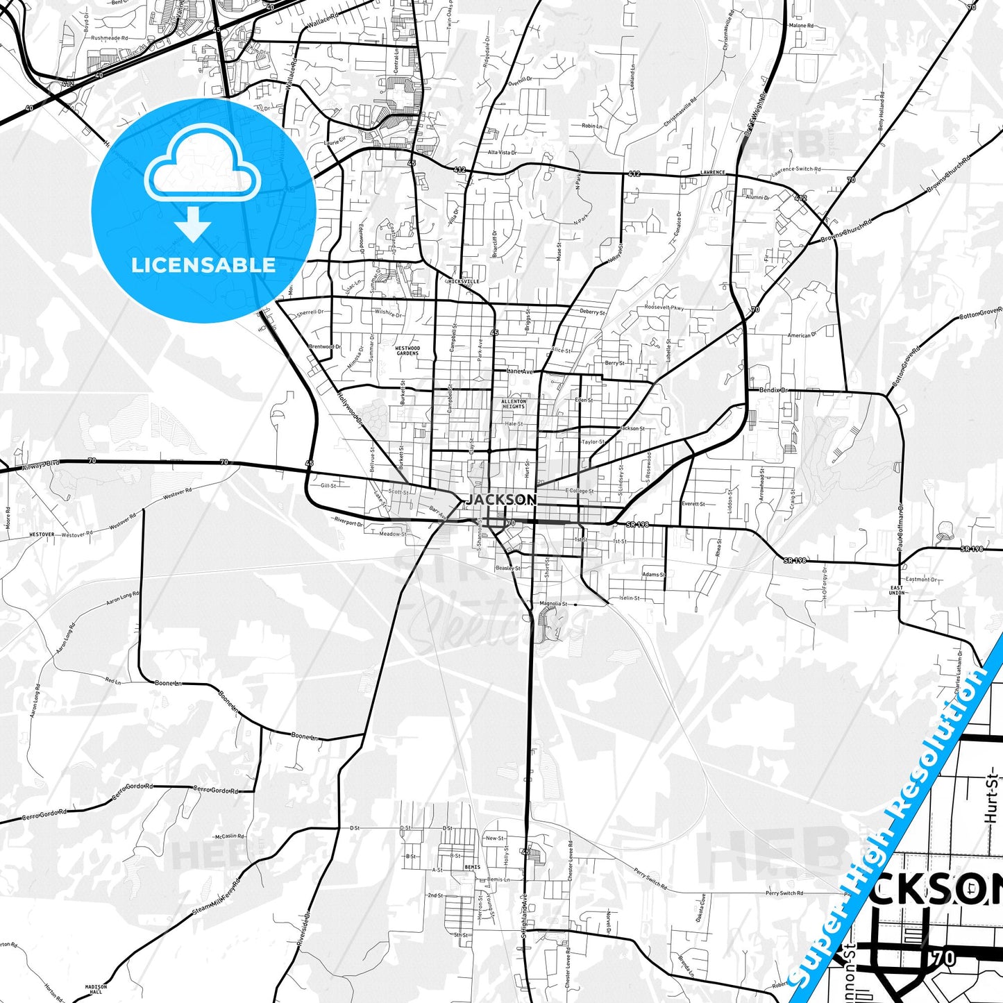 Jackson, Tennessee Light Map with Street Names, City Names, and Districts
