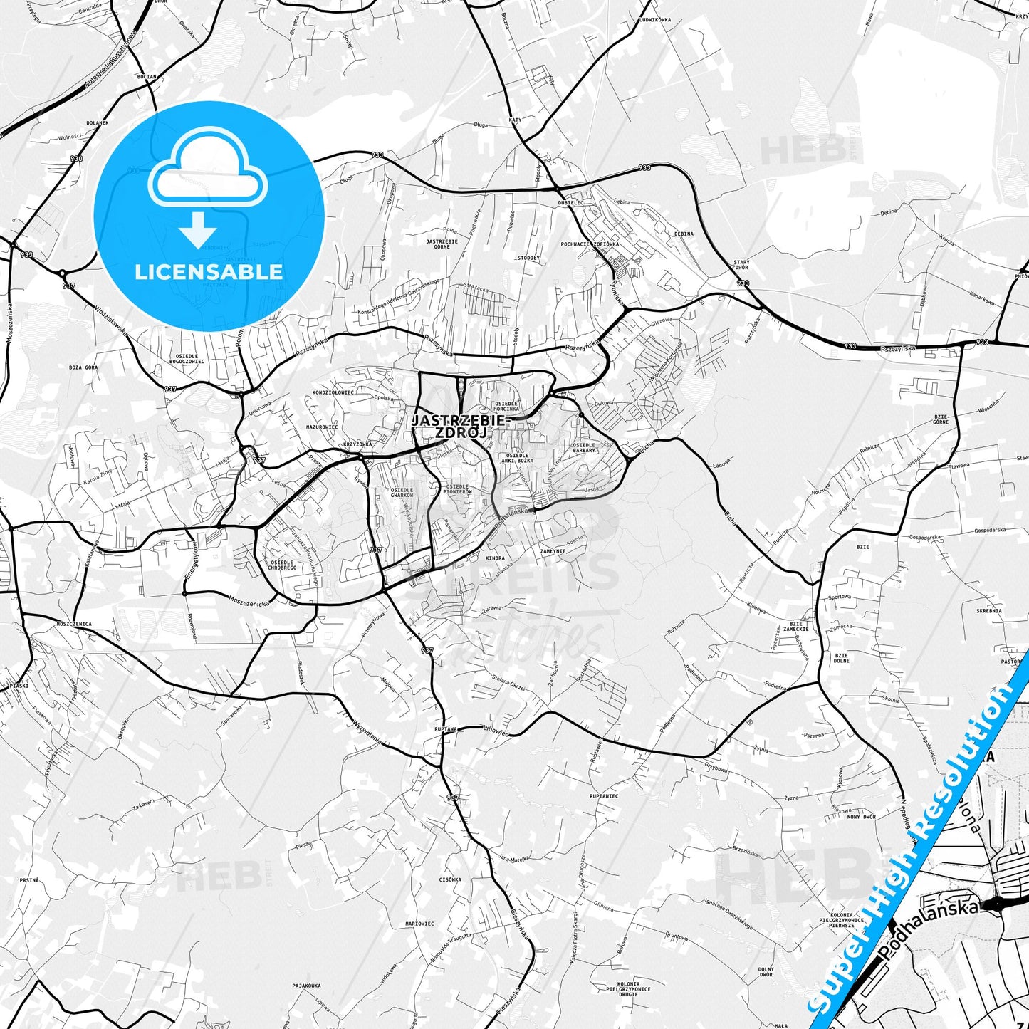 Jastrzębie Zdrój, Poland Light Map with Street Names, City Names, and Districts