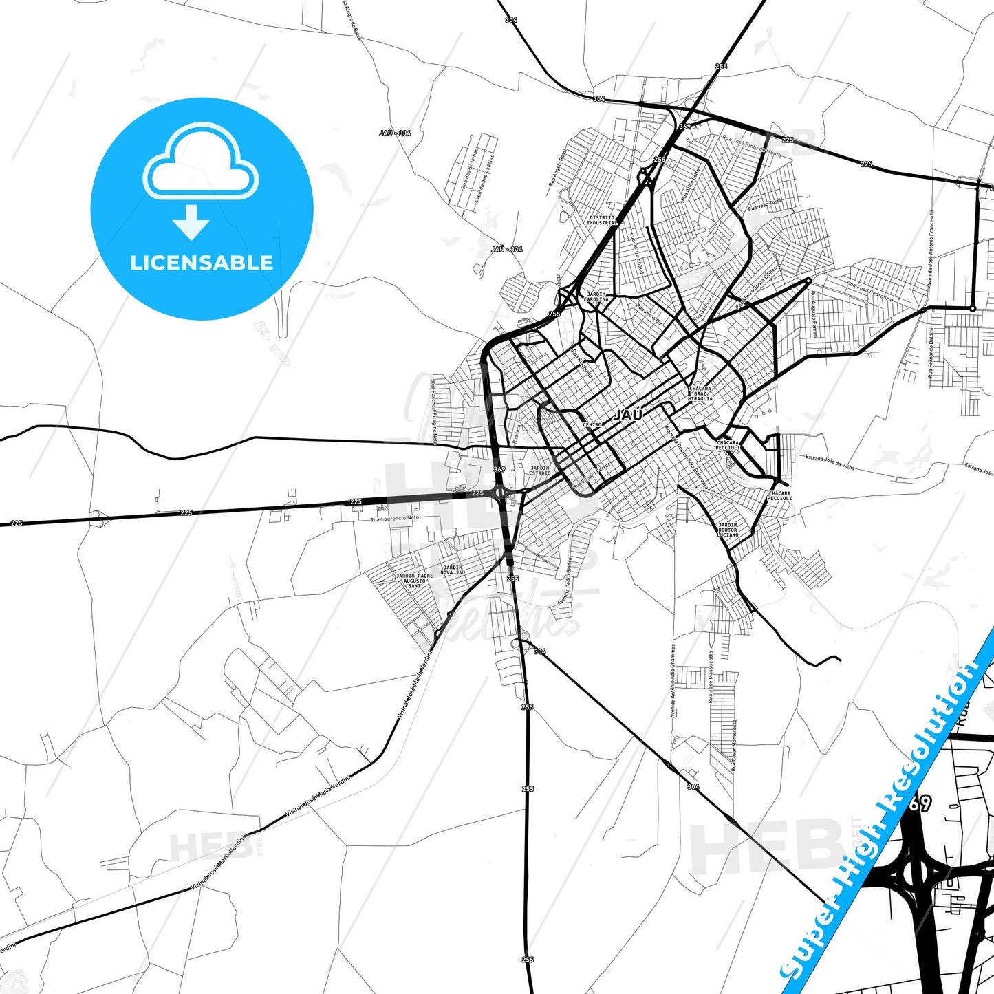 Jau, Brazil Light Map with Street Names, City Names, and Districts