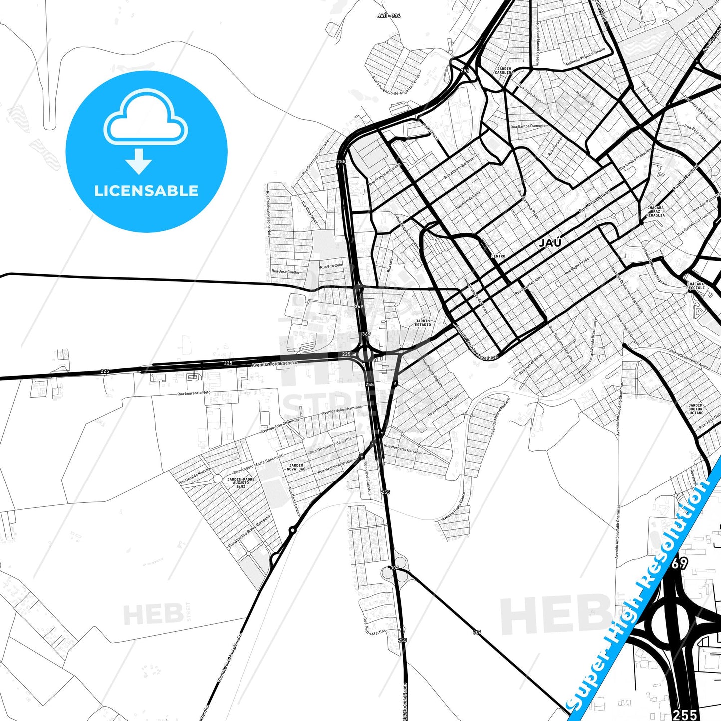 Jau, Brazil Light Map with Street Names, City Names, and Districts