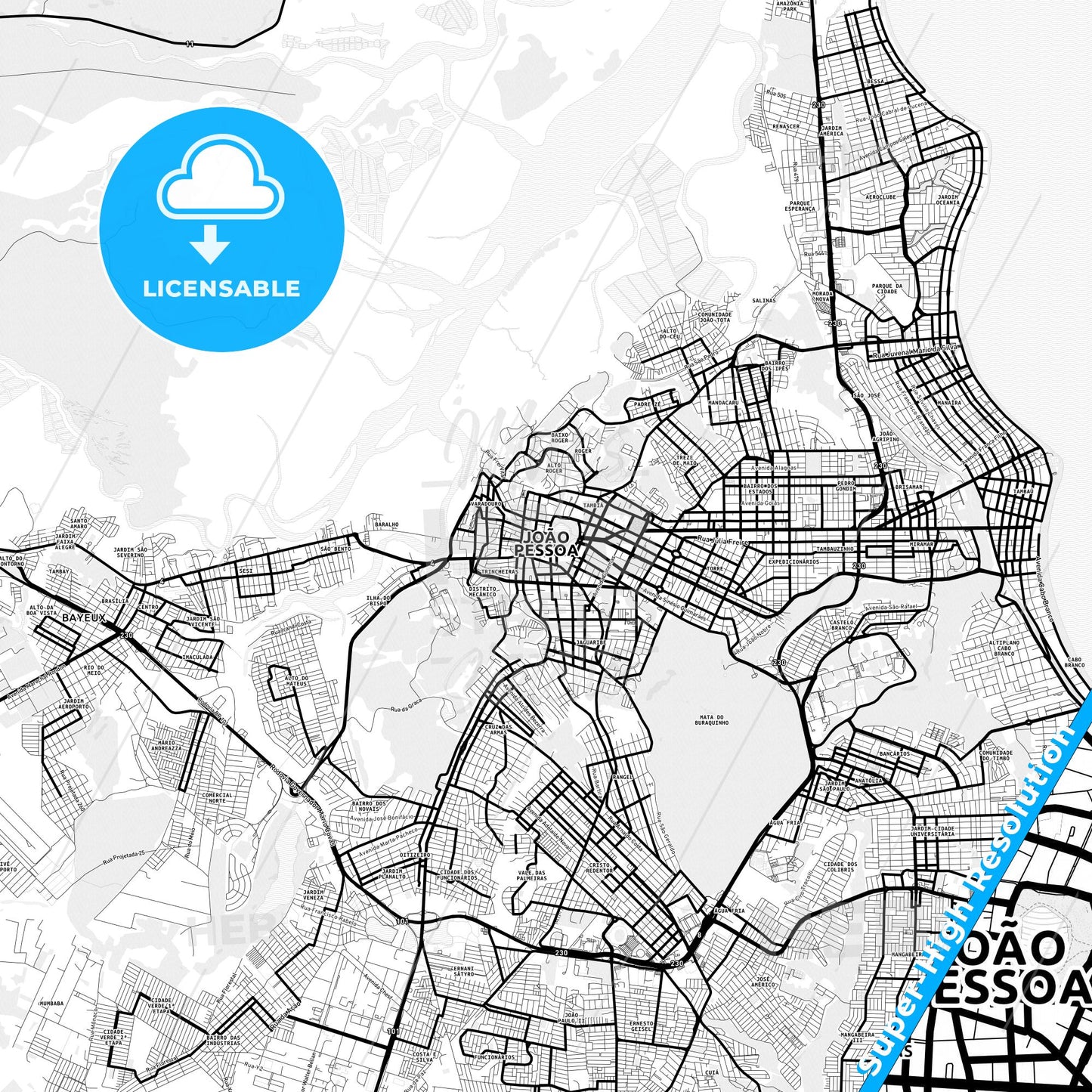 Joao Pessoa, Brazil Light Map with Street Names, City Names, and Districts