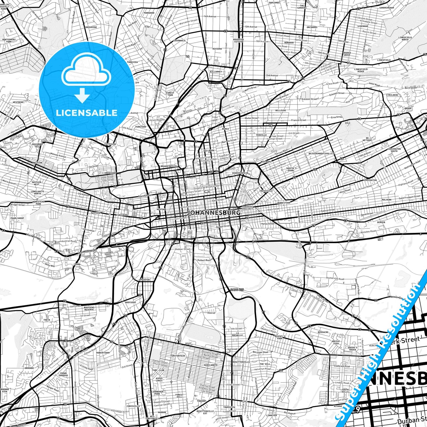Johannesburg, South Africa Light Map with Street Names, City Names, and Districts