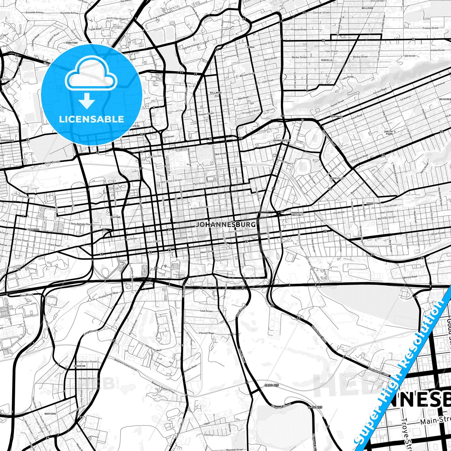 Johannesburg, South Africa Light Map with Street Names, City Names, and Districts