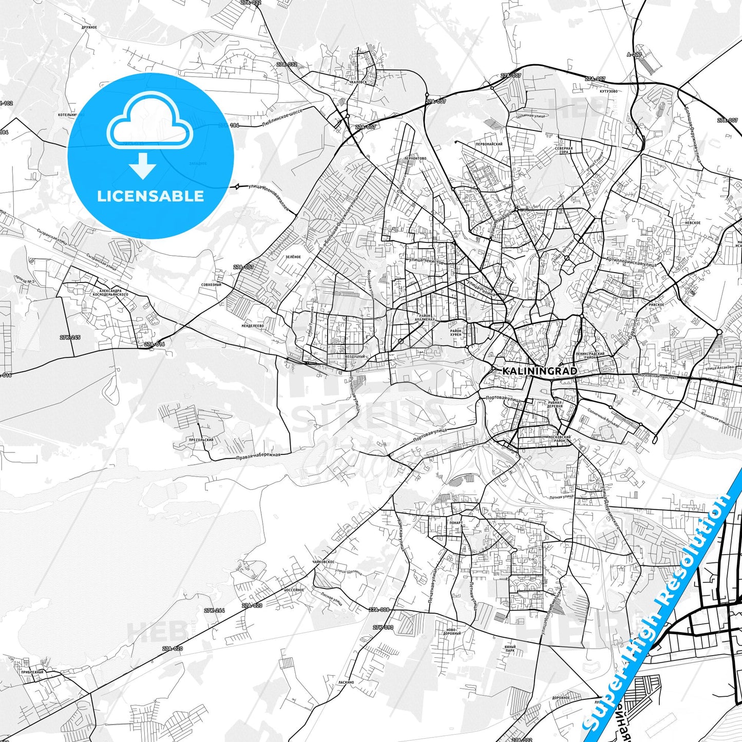 Kaliningrad, Russia light map with streetnames, citynames and districts