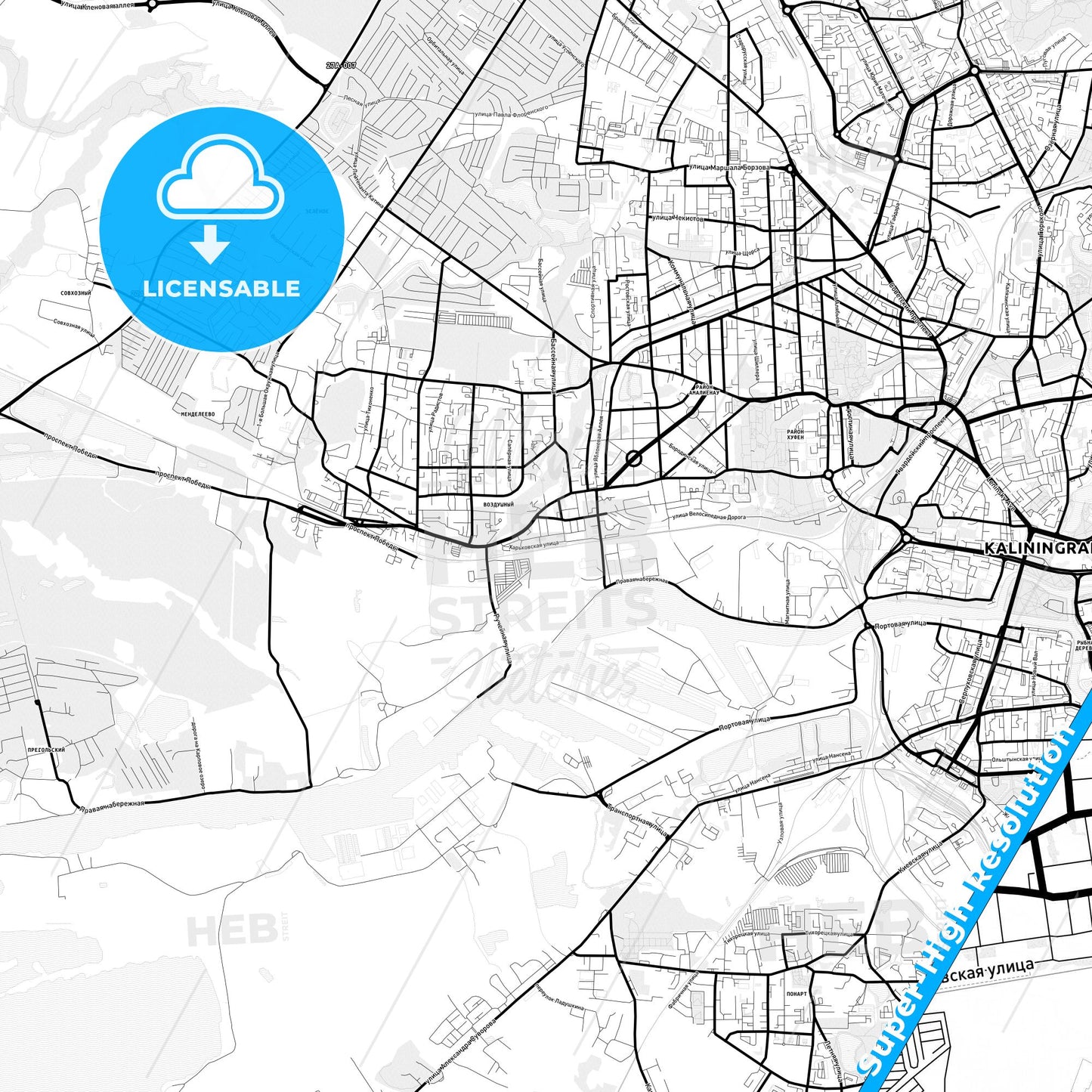 Kaliningrad, Russia Light Map with Street Names, City Names, and Districts