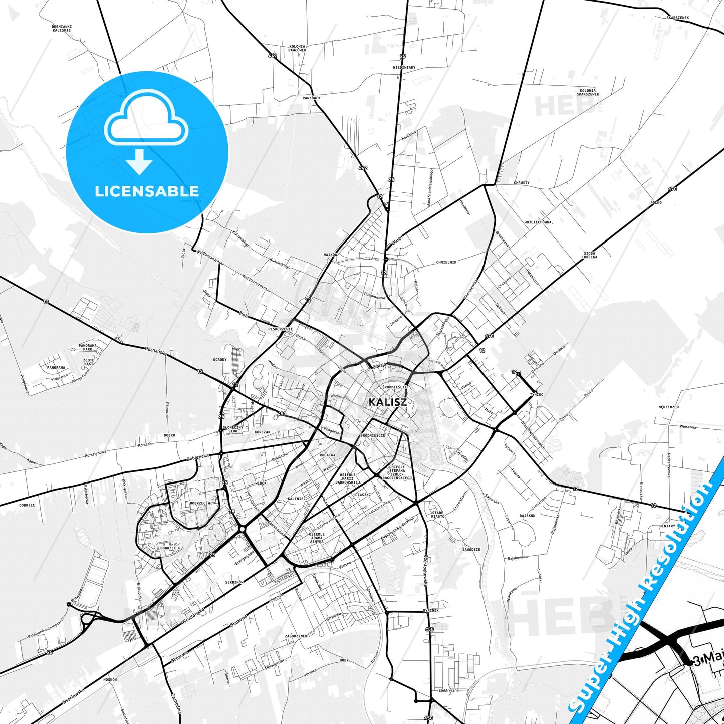 Kalisz, Poland Light Map with Street Names, City Names, and Districts