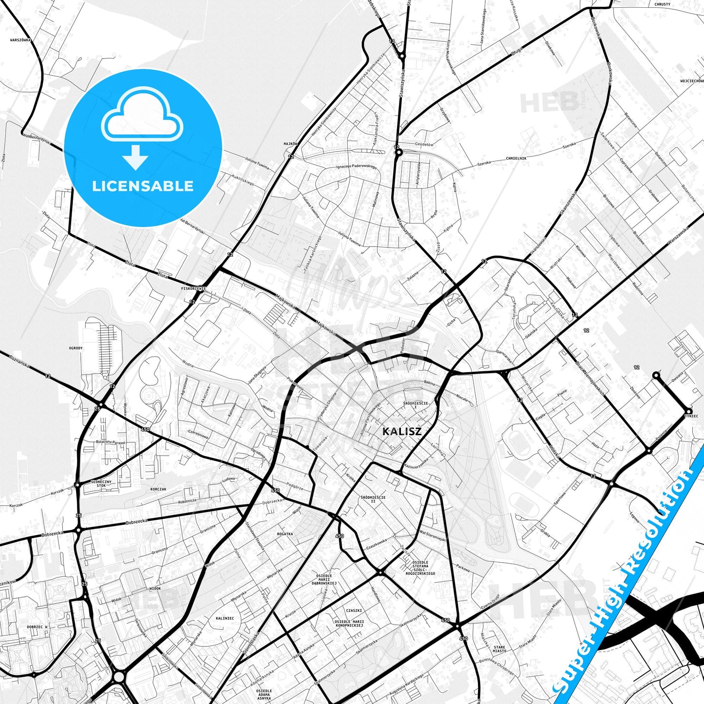 Kalisz, Poland Light Map with Street Names, City Names, and Districts