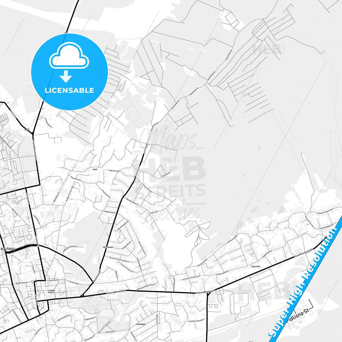 Kalush, Ukraine Light Map with Street Names, City Names, and Districts