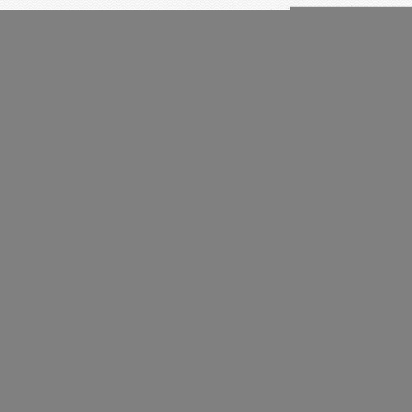 Karadeniz Ereğli, Turkey light map with streetnames, citynames and districts