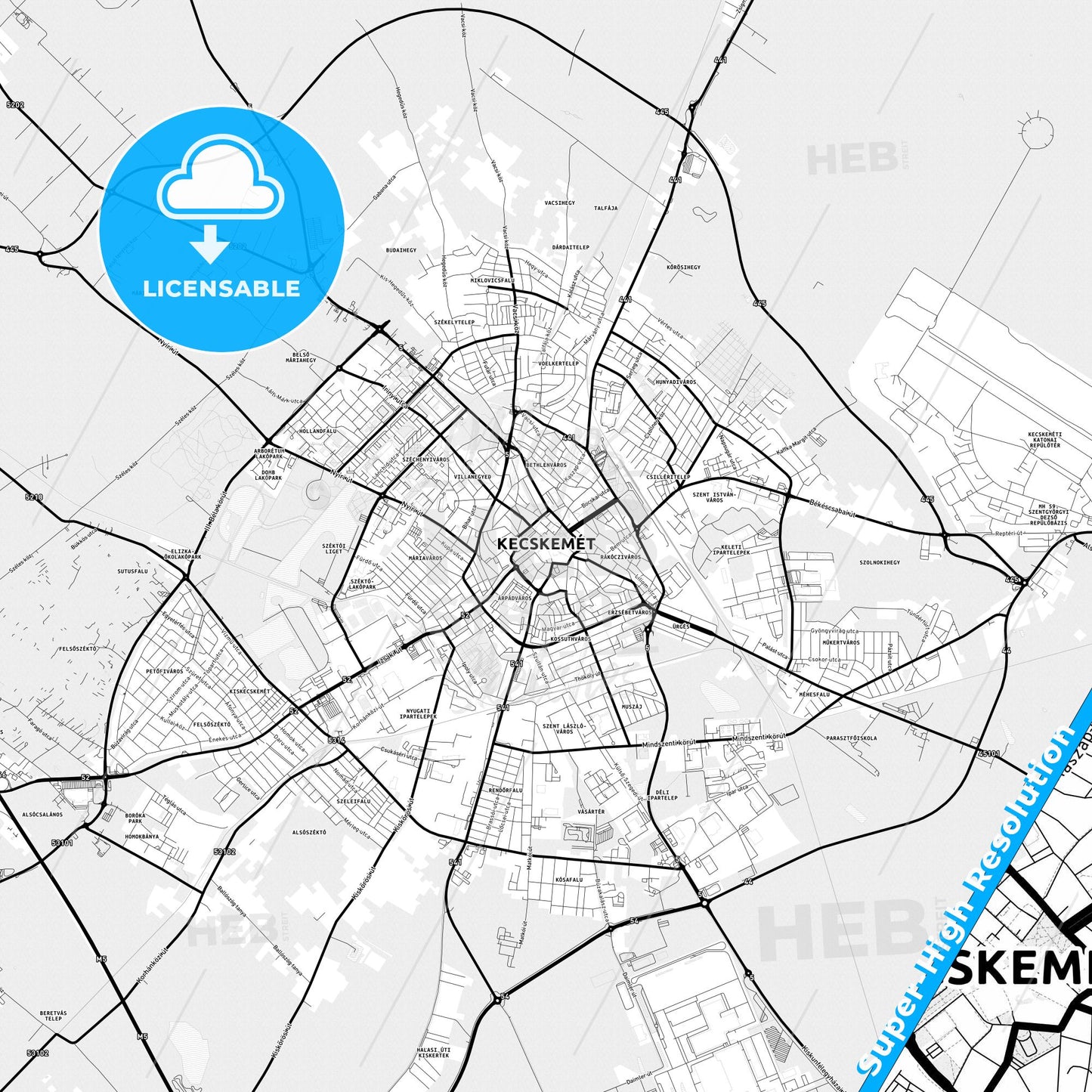 Kecskemét, Hungary Light Map with Street Names, City Names, and Districts