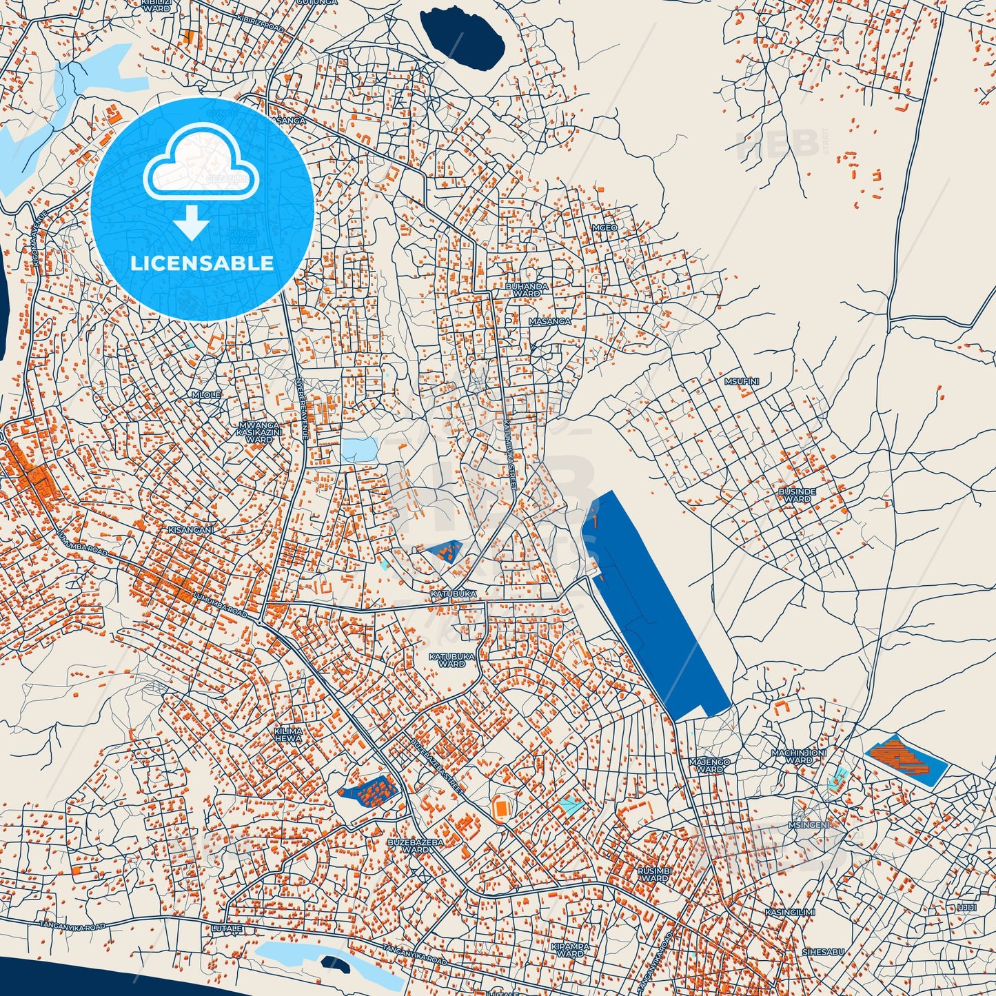 Colorful Kigoma Street Map with Labels and Buildings