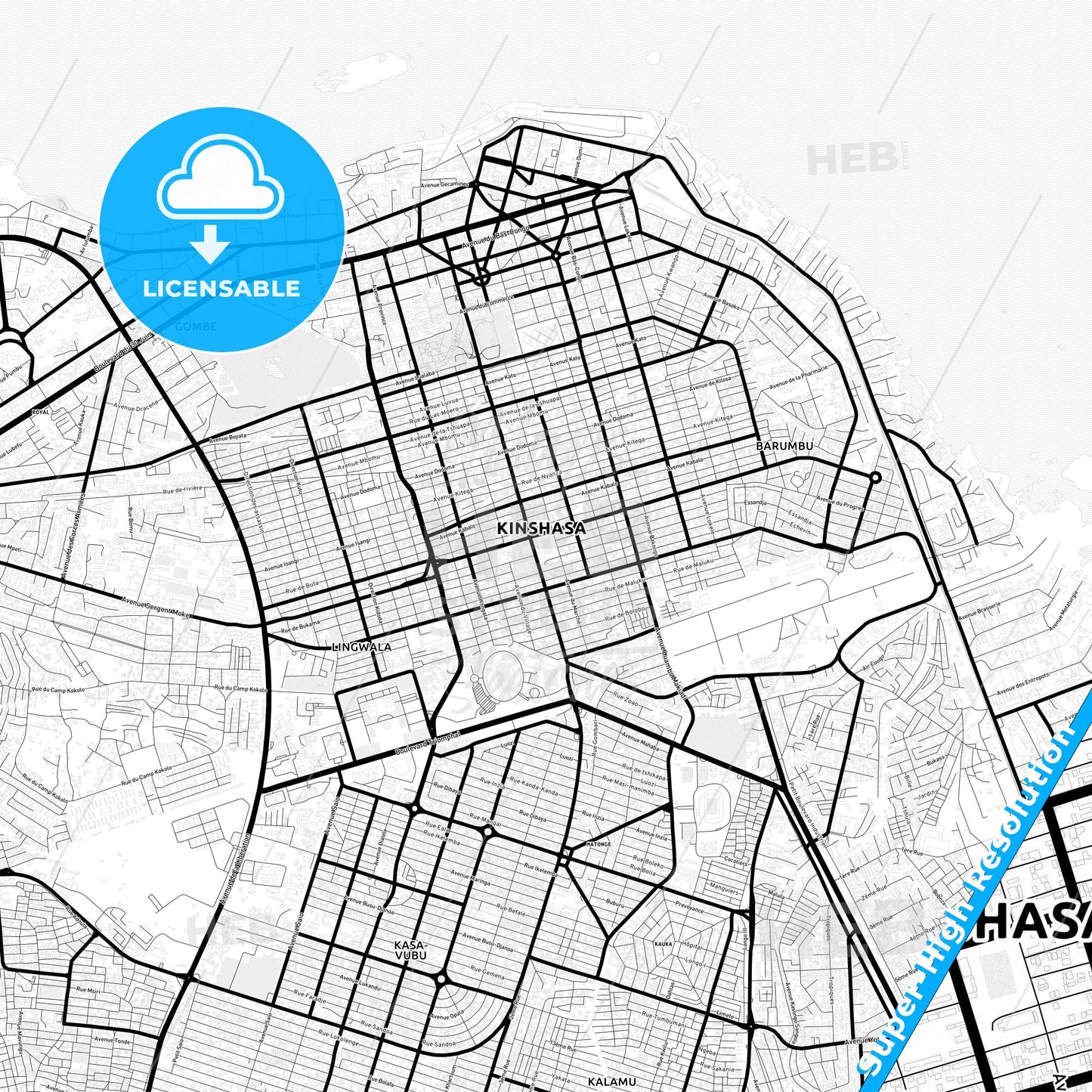 Kinshasa, DR Congo Light Map with Street Names, City Names, and Districts