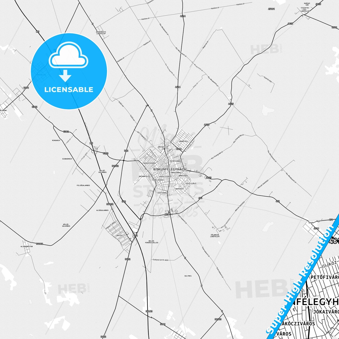 Kiskunfélegyháza, Hungary light map with streetnames, citynames and districts