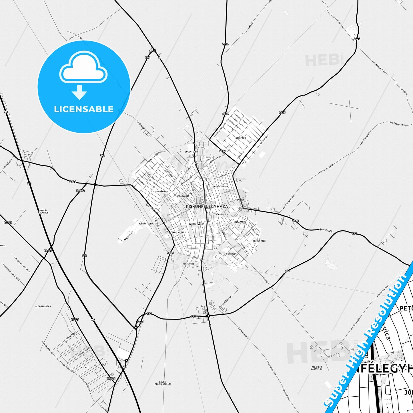 Kiskunfélegyháza, Hungary Light Map with Street Names, City Names, and Districts