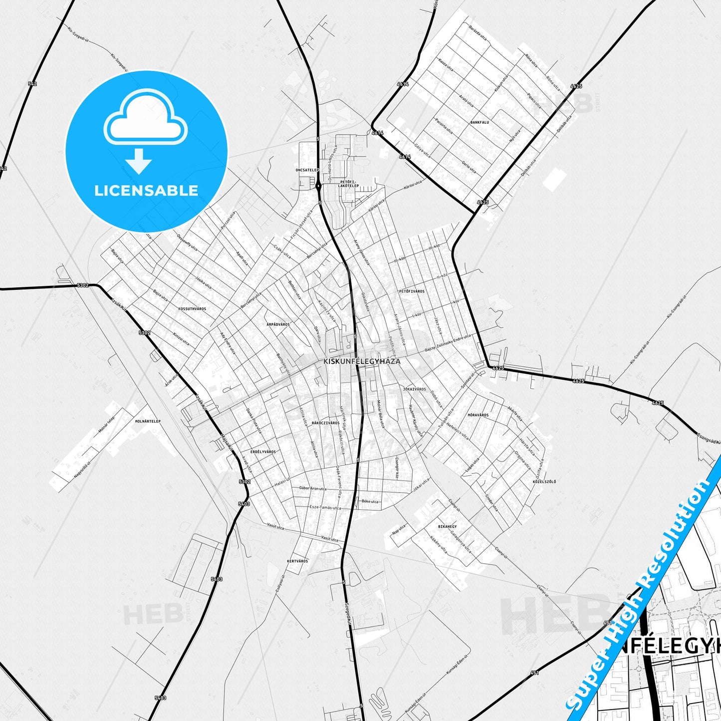 Kiskunfélegyháza, Hungary Light Map with Street Names, City Names, and Districts