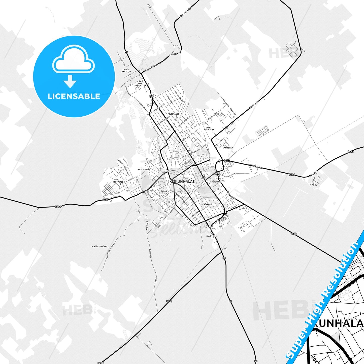 Kiskunhalas, Hungary Light Map with Street Names, City Names, and Districts