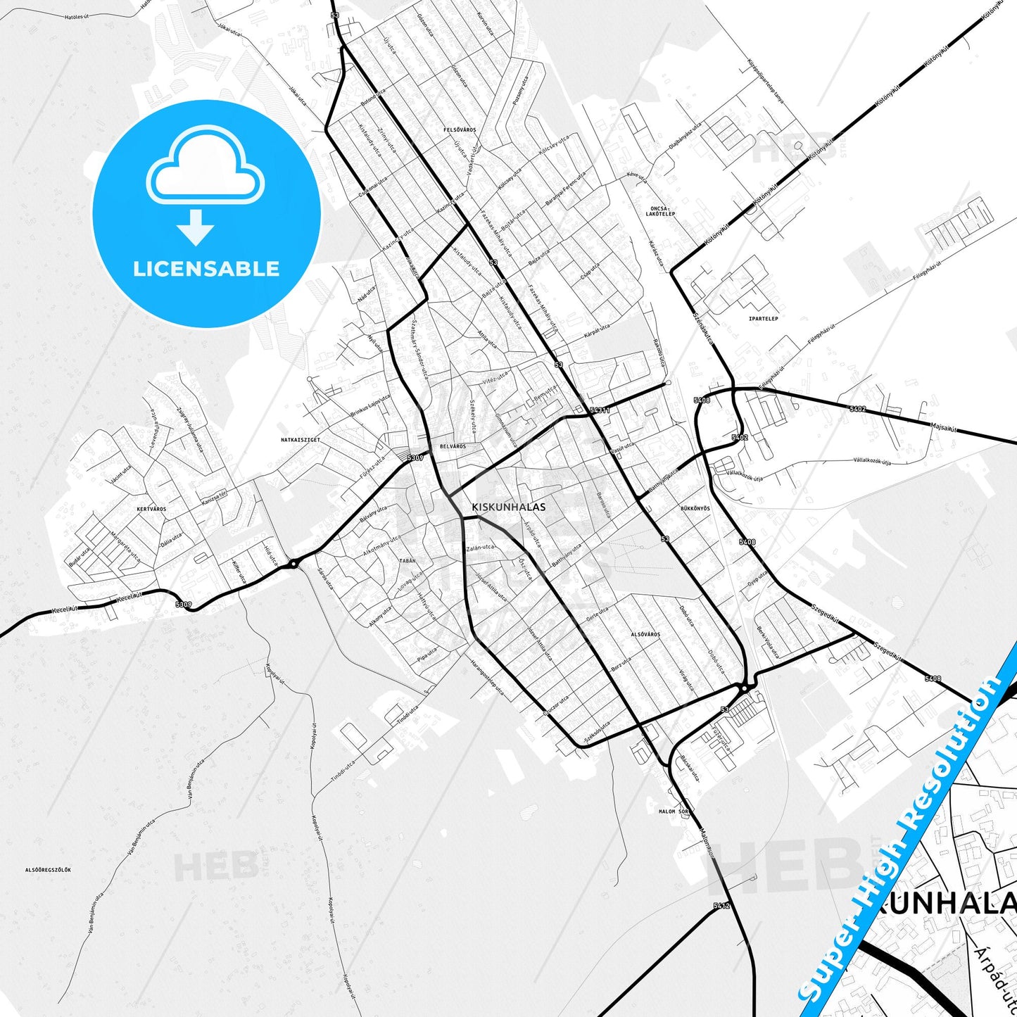 Kiskunhalas, Hungary Light Map with Street Names, City Names, and Districts