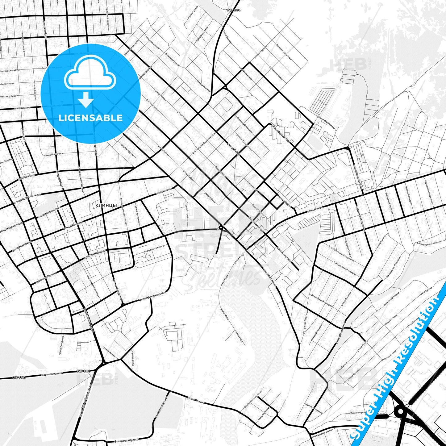 Klintsy, Russia Light Map with Street Names, City Names, and Districts