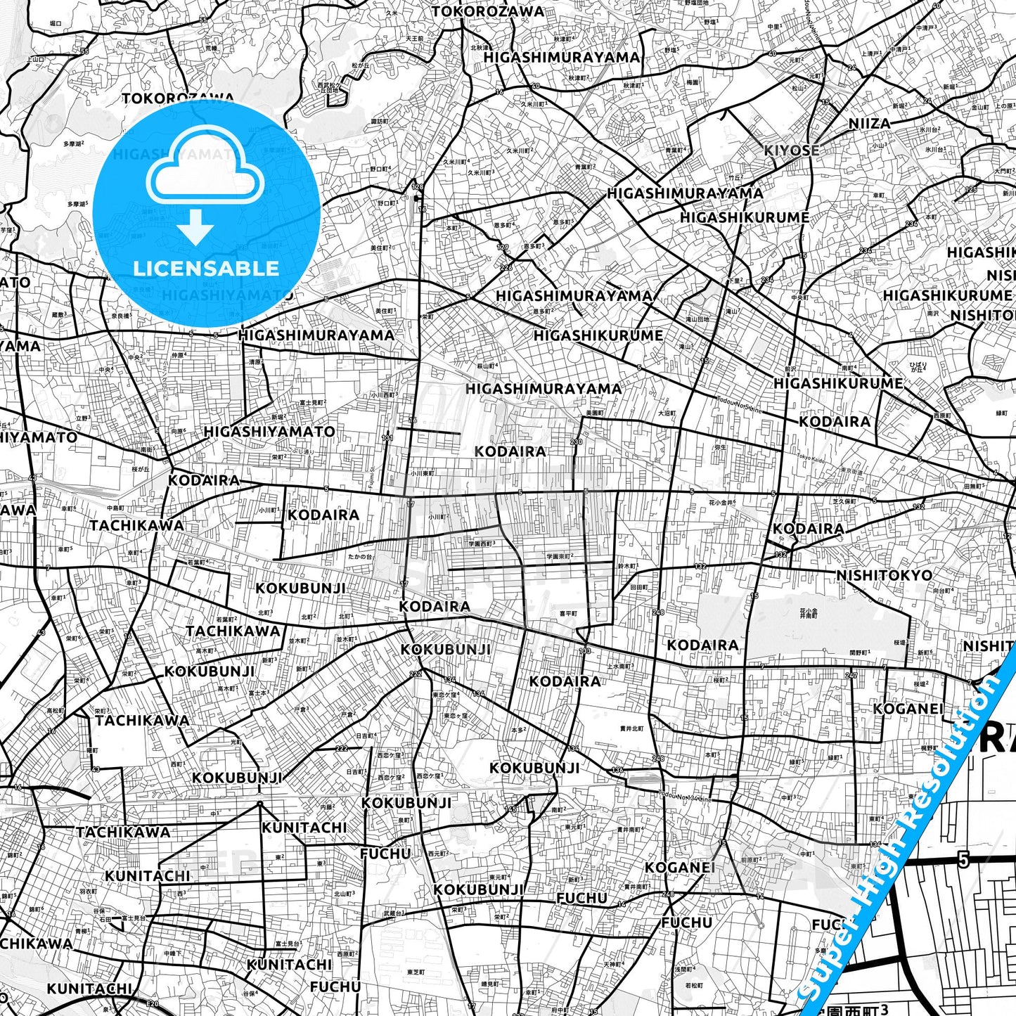 Kodaira, Japan Light Map with Street Names, City Names, and Districts