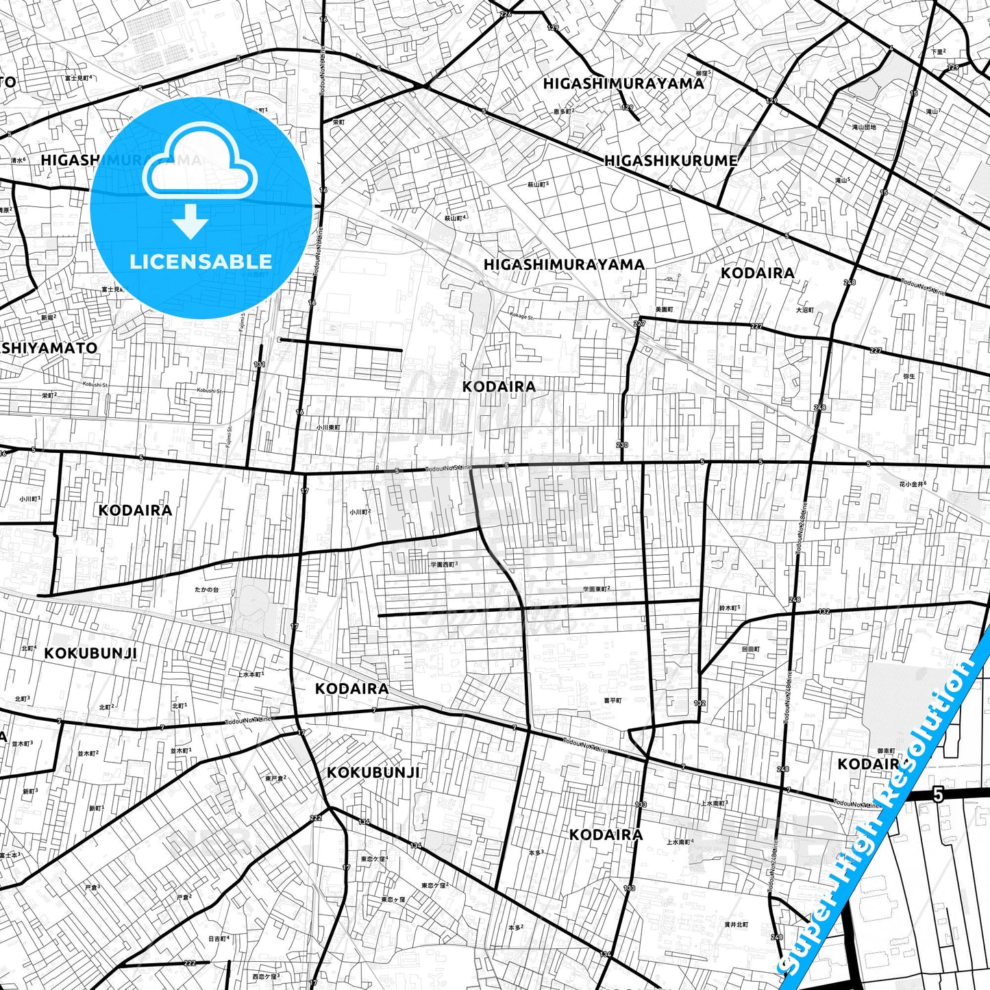 Kodaira, Japan Light Map with Street Names, City Names, and Districts