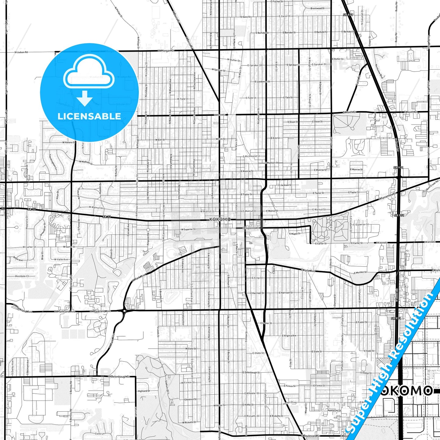 Kokomo, Indiana Light Map with Street Names, City Names, and Districts