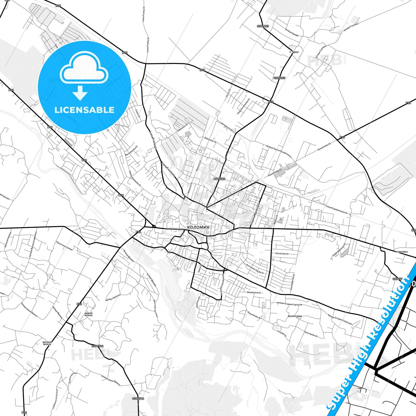 Kolomyia, Ukraine Light Map with Street Names, City Names, and Districts