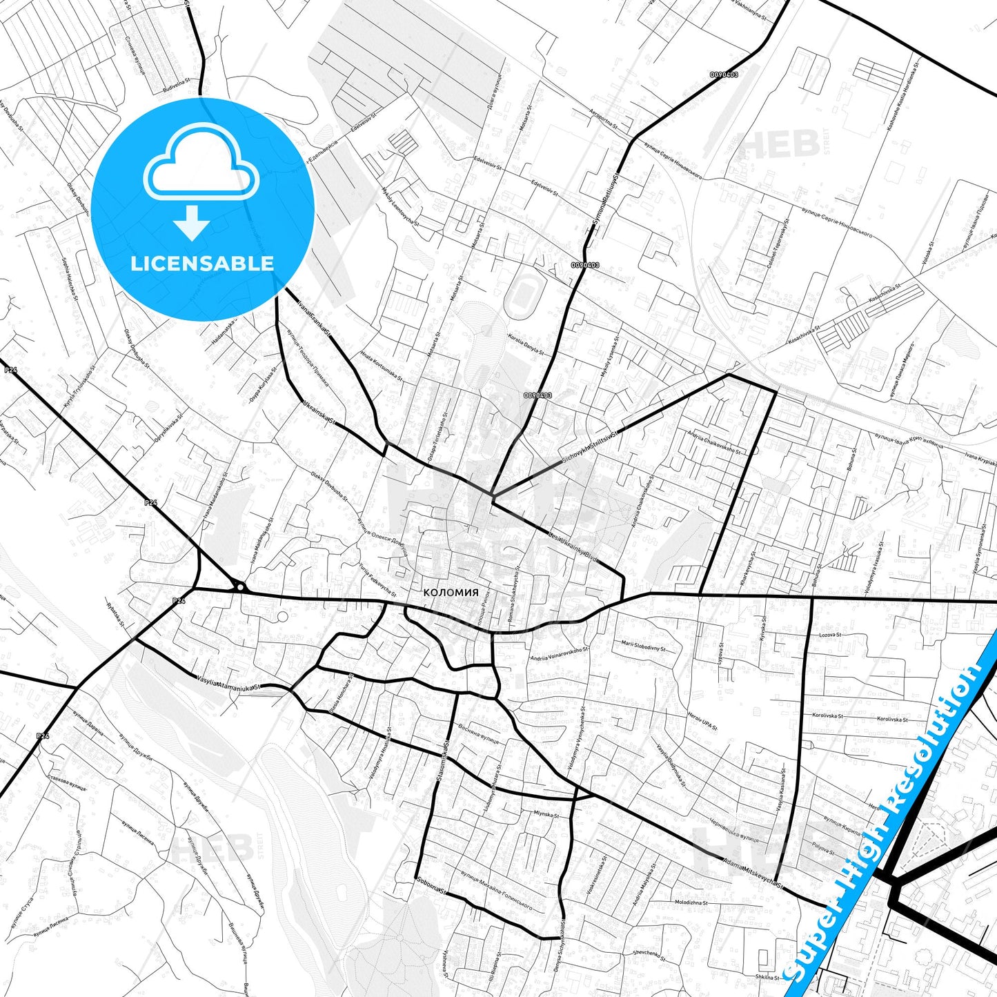 Kolomyia, Ukraine Light Map with Street Names, City Names, and Districts