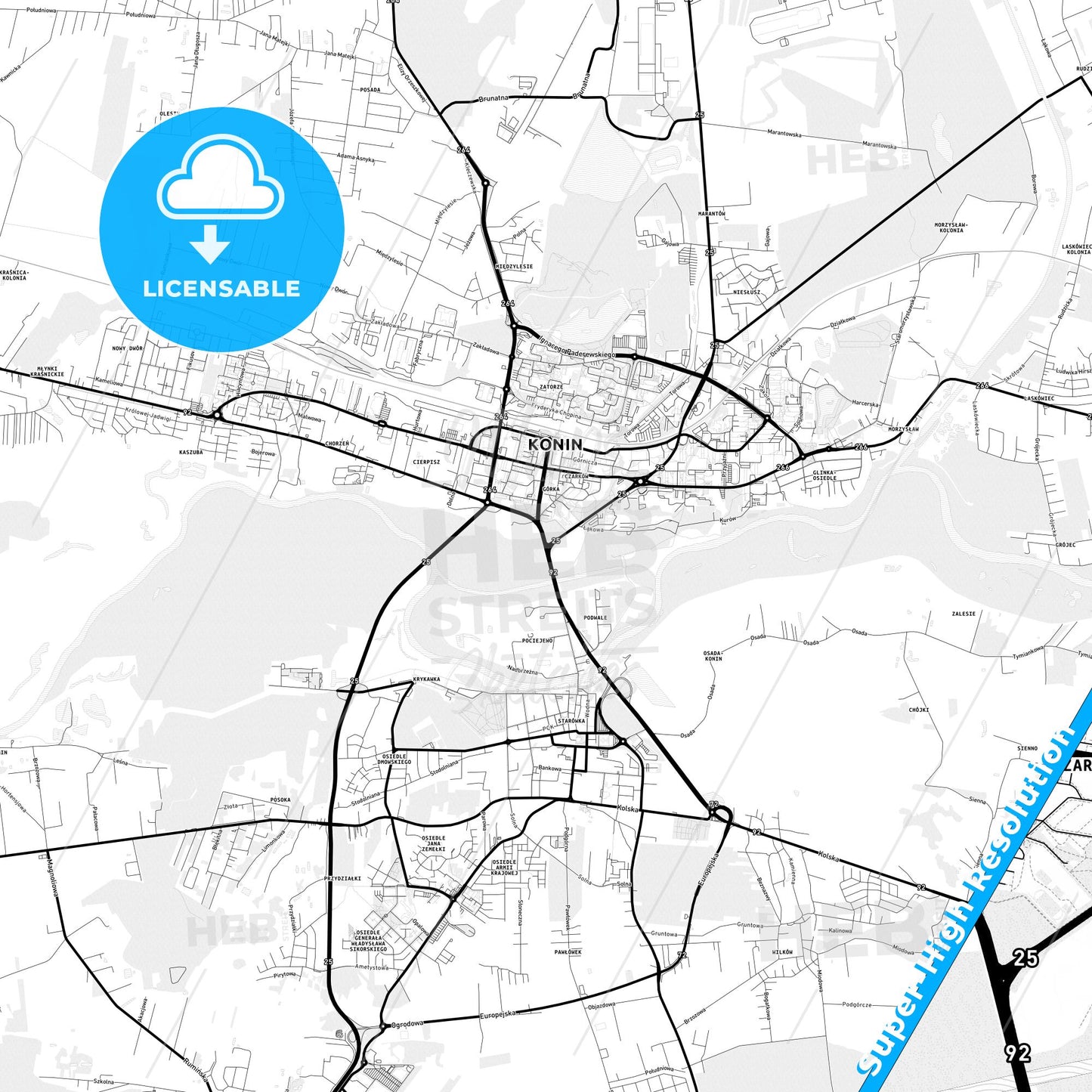 Konin, Poland Light Map with Street Names, City Names, and Districts