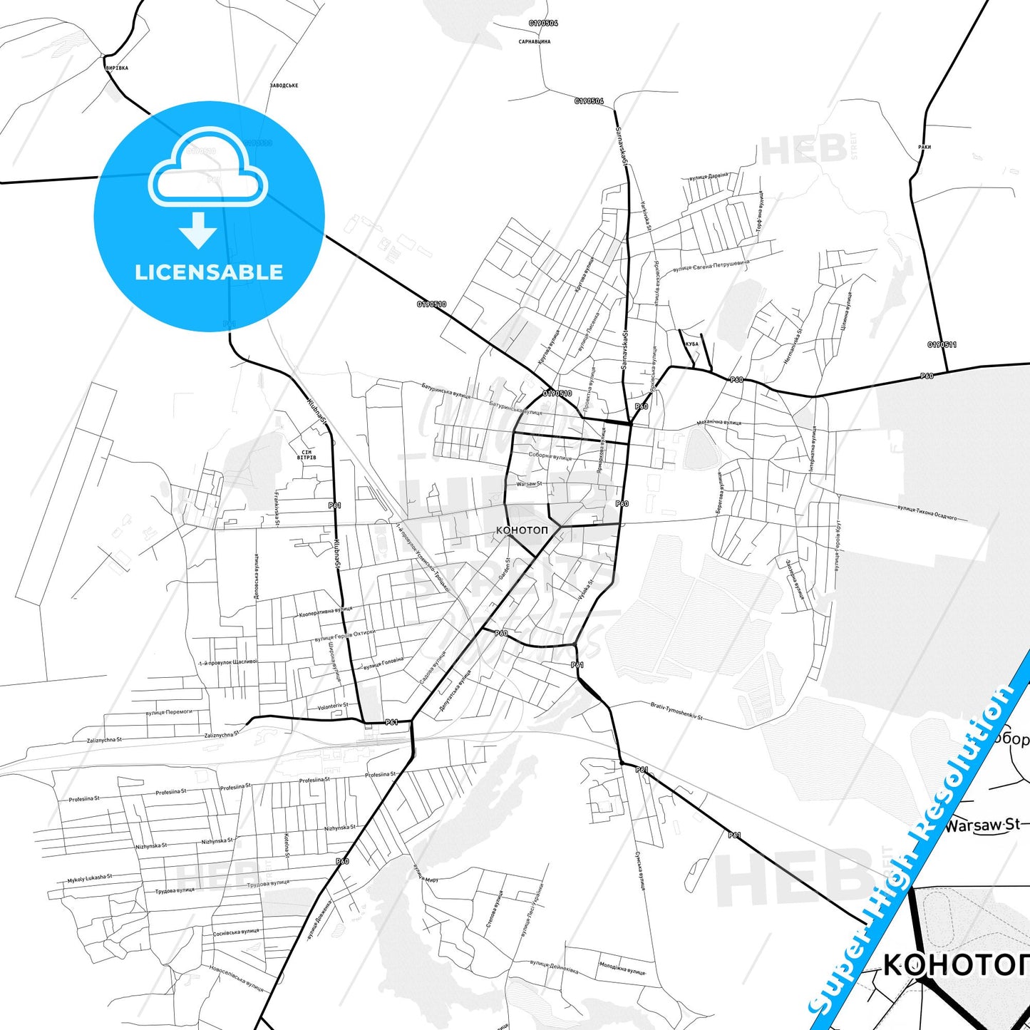 Konotop, Ukraine Light Map with Street Names, City Names, and Districts