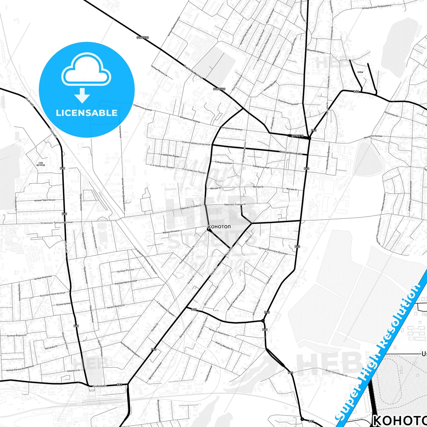 Konotop, Ukraine Light Map with Street Names, City Names, and Districts