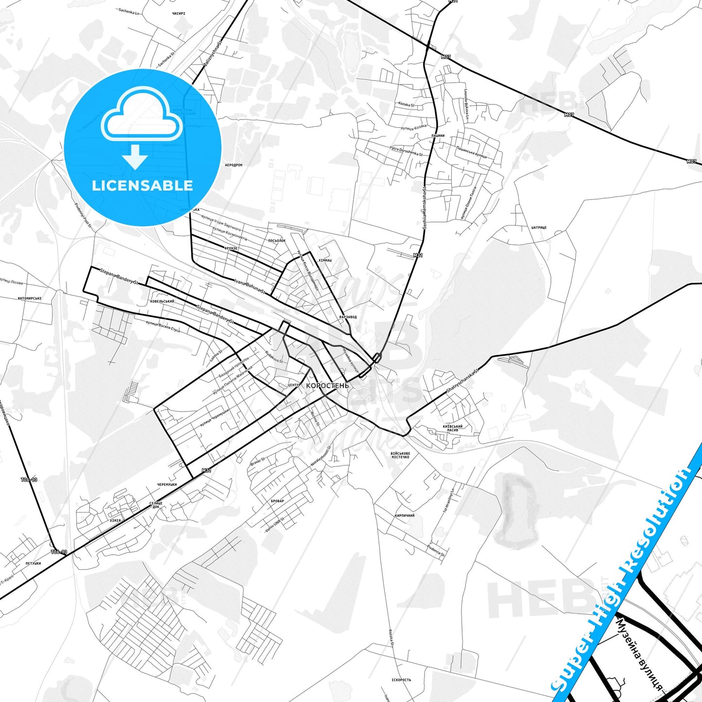 Korosten, Ukraine Light Map with Street Names, City Names, and Districts