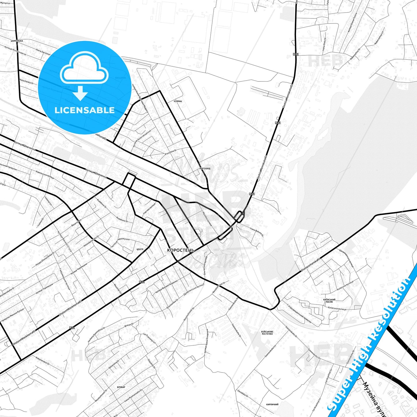 Korosten, Ukraine Light Map with Street Names, City Names, and Districts