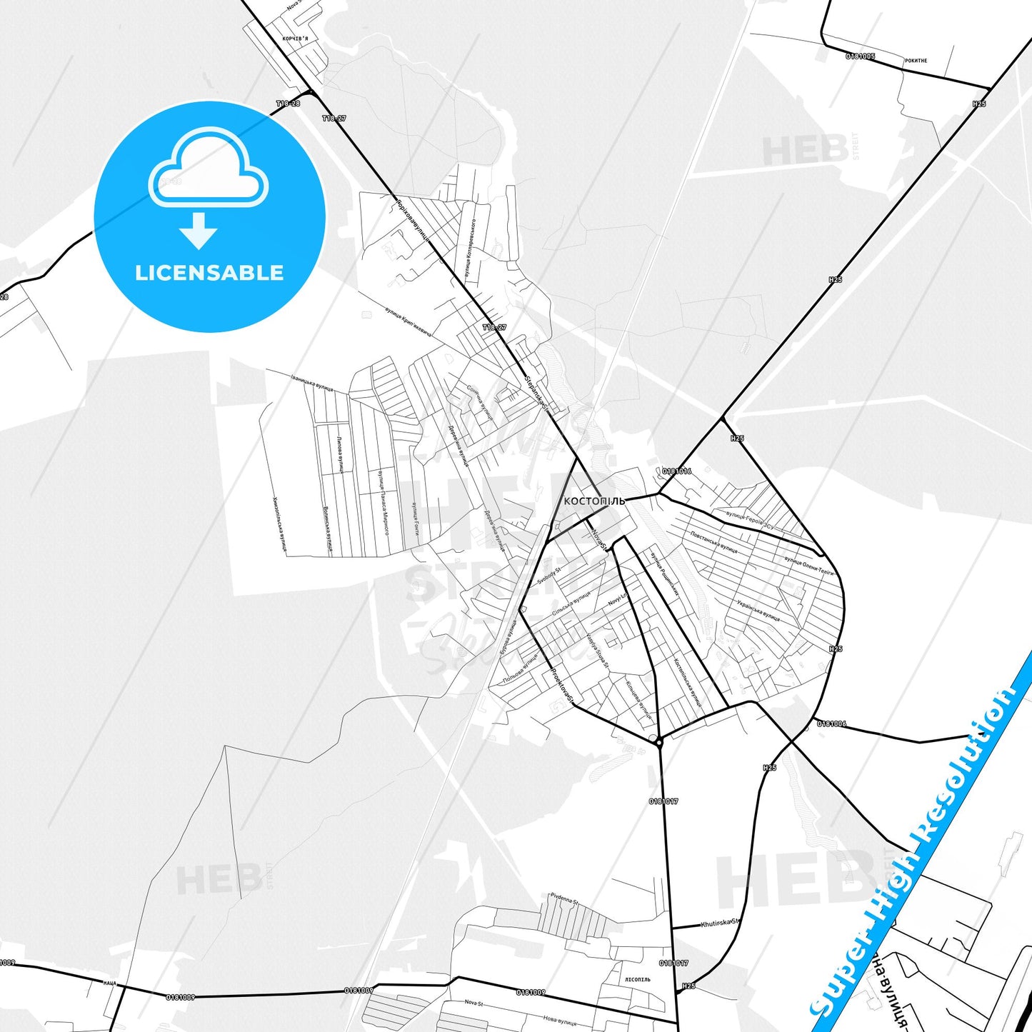 Kostopil, Ukraine Light Map with Street Names, City Names, and Districts