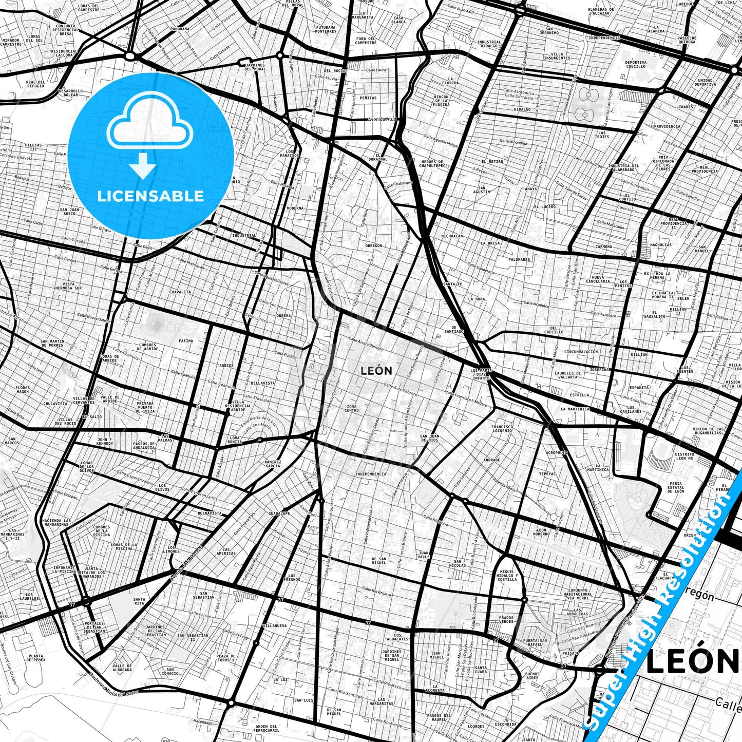 León, Mexico Light Map with Street Names, City Names, and Districts