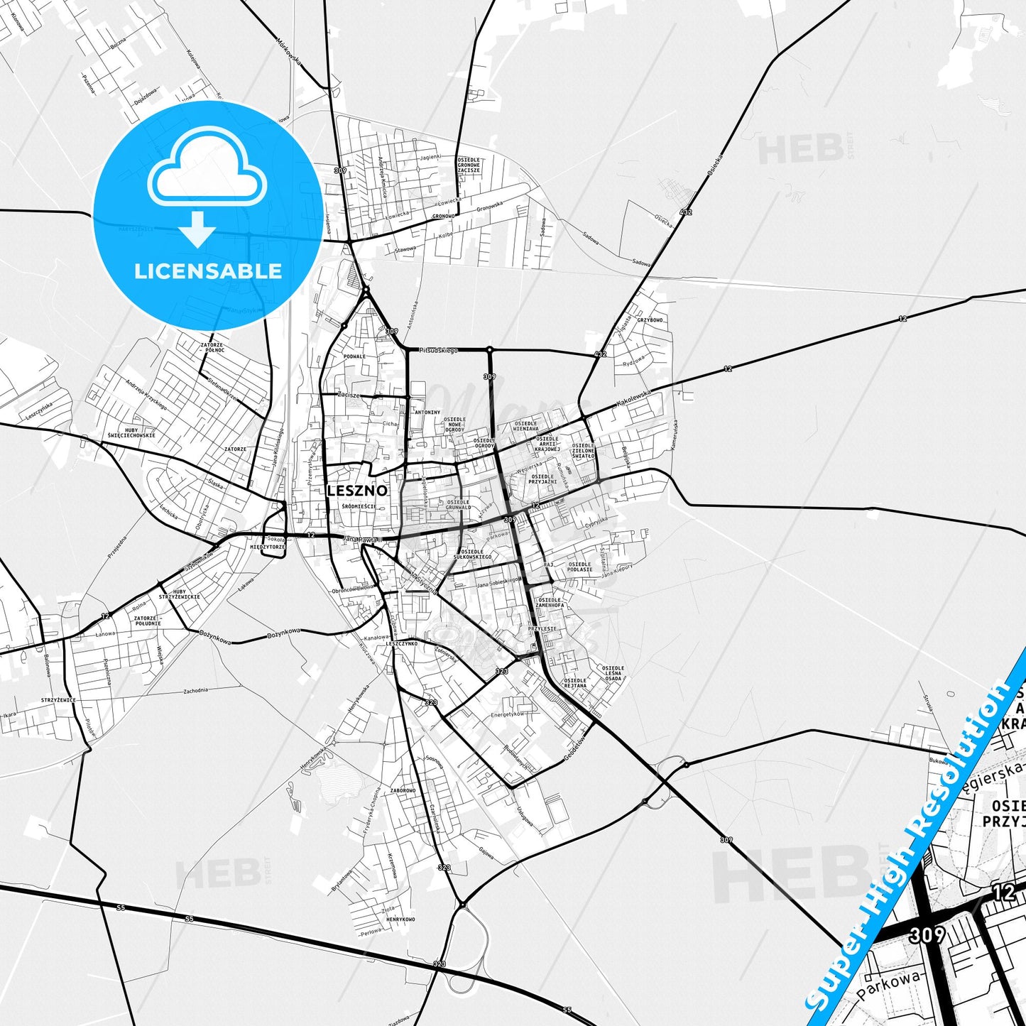 Leszno, Poland Light Map with Street Names, City Names, and Districts