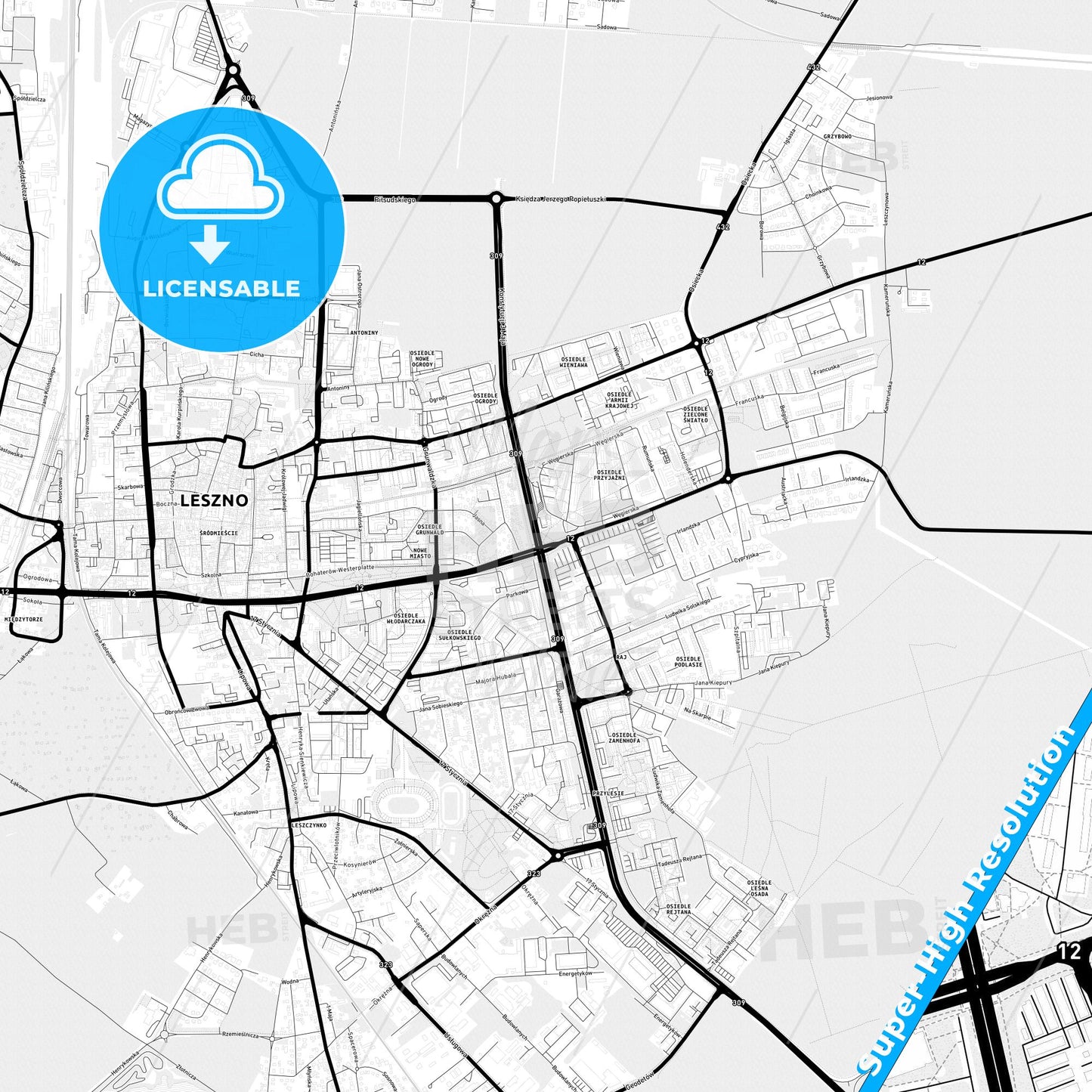Leszno, Poland Light Map with Street Names, City Names, and Districts