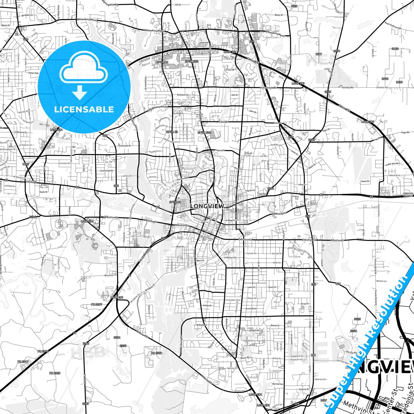 Longview, Texas Light Map with Street Names, City Names, and Districts