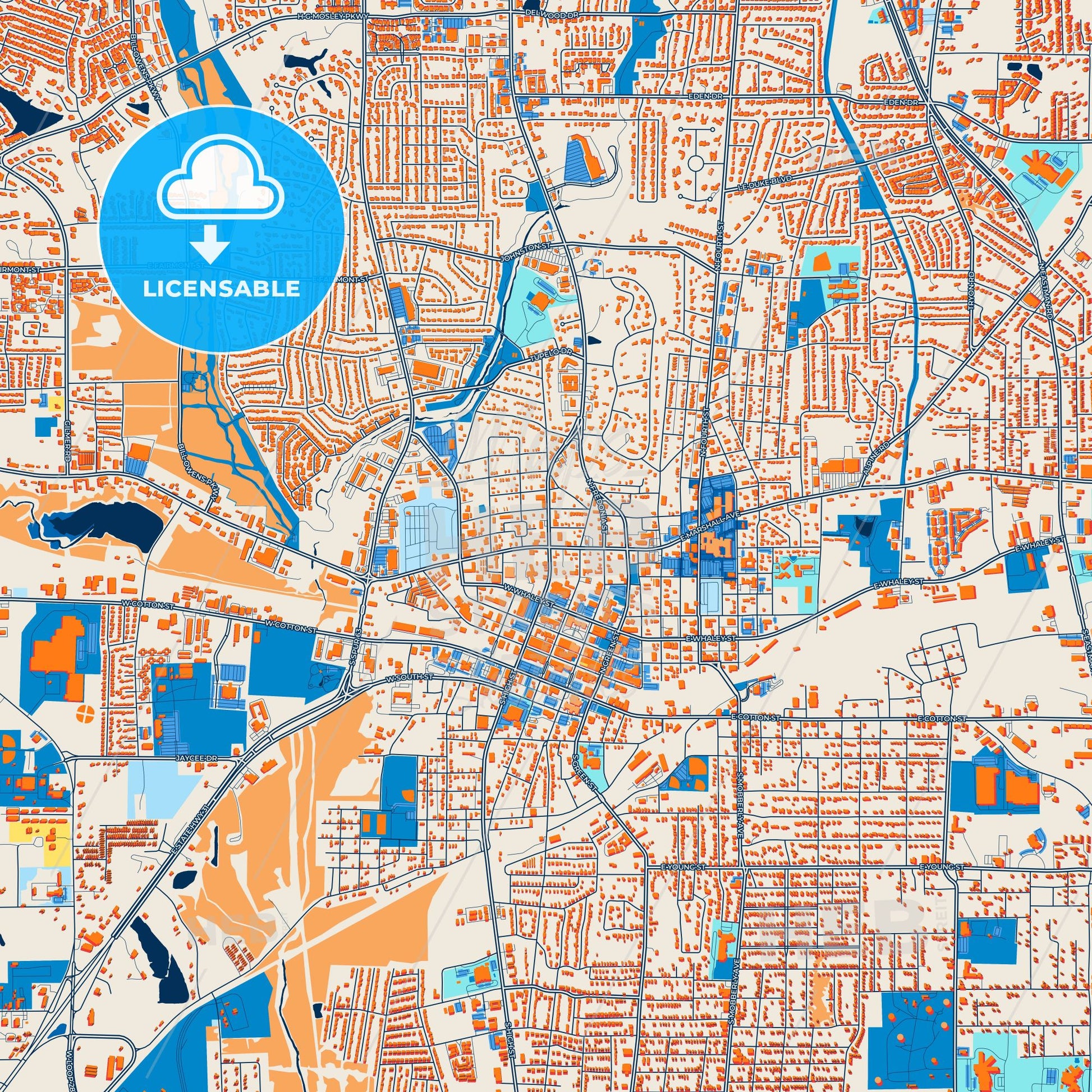 Colorful Longview Street Map with Labels and Buildings