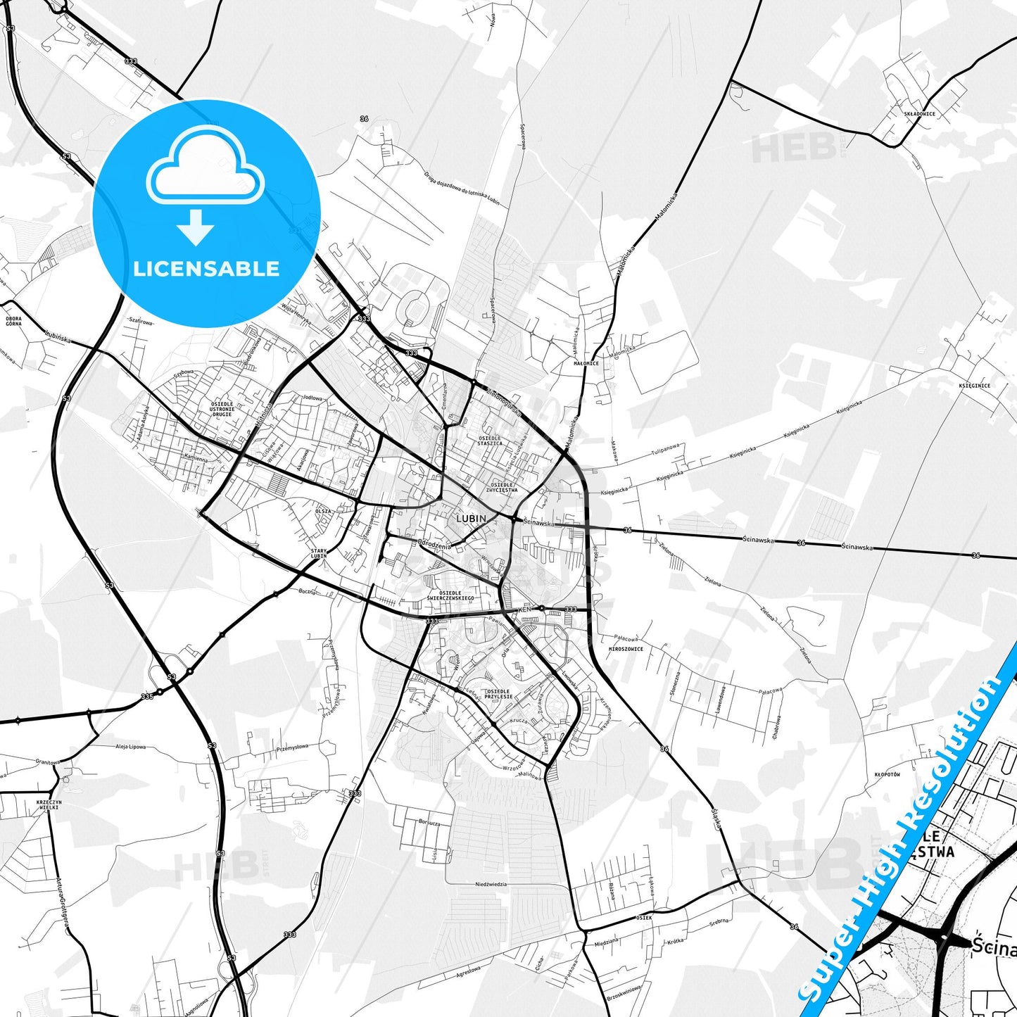 Lubin, Poland Light Map with Street Names, City Names, and Districts